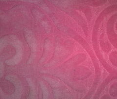 超柔剪花 常熟市奥胜针纺织有限公司的针纺织品创新之旅